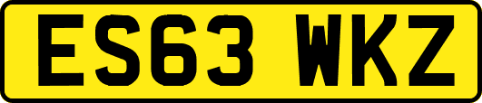 ES63WKZ
