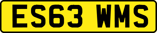 ES63WMS