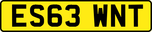 ES63WNT
