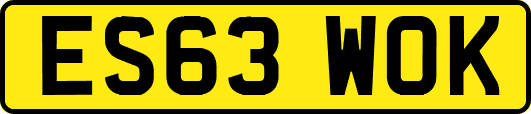 ES63WOK