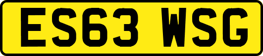 ES63WSG