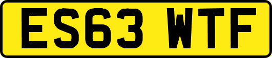 ES63WTF