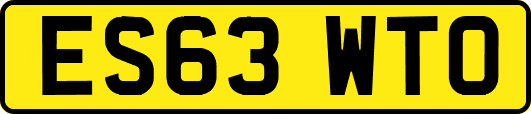 ES63WTO