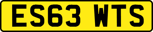 ES63WTS