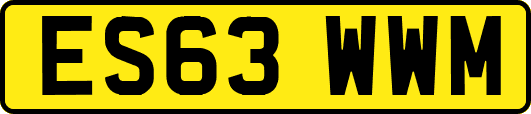 ES63WWM