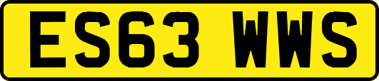 ES63WWS