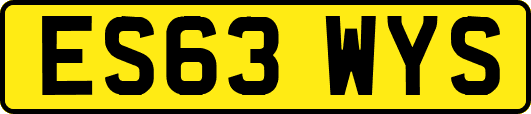 ES63WYS