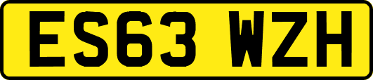 ES63WZH