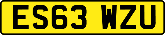 ES63WZU