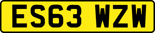 ES63WZW
