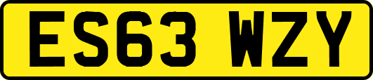 ES63WZY
