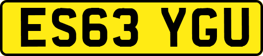 ES63YGU