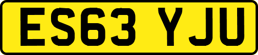 ES63YJU