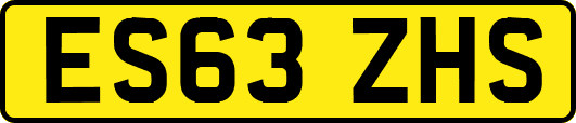 ES63ZHS
