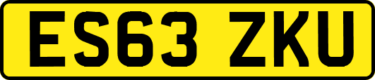 ES63ZKU