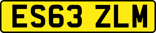 ES63ZLM