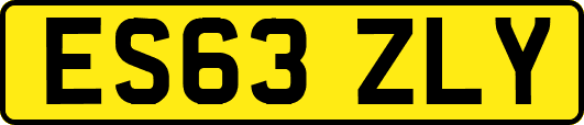 ES63ZLY