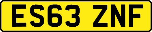 ES63ZNF