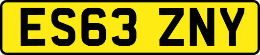 ES63ZNY