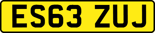 ES63ZUJ