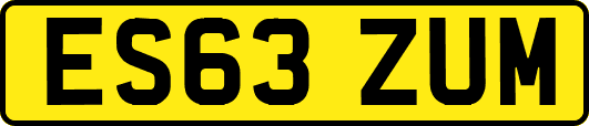 ES63ZUM