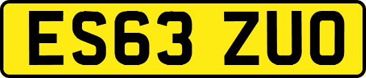 ES63ZUO