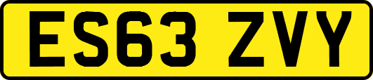ES63ZVY