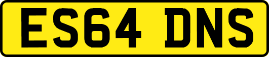 ES64DNS