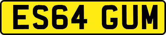 ES64GUM