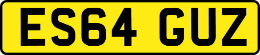 ES64GUZ