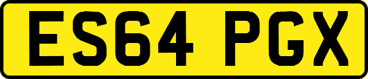 ES64PGX