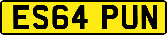ES64PUN