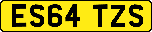 ES64TZS