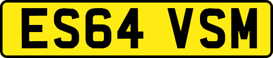 ES64VSM