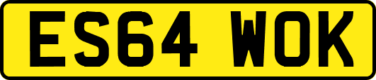 ES64WOK