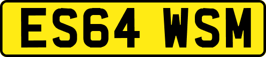 ES64WSM