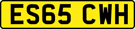 ES65CWH