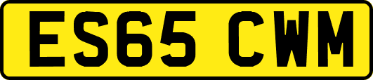 ES65CWM