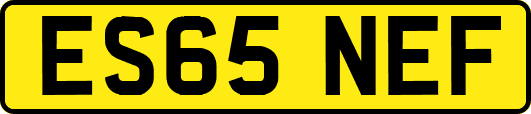 ES65NEF