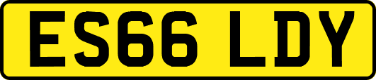 ES66LDY