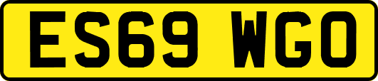 ES69WGO