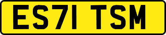 ES71TSM