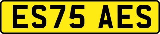 ES75AES