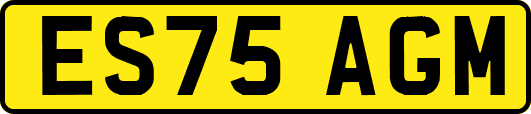 ES75AGM
