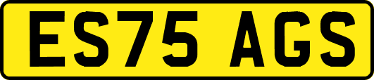 ES75AGS