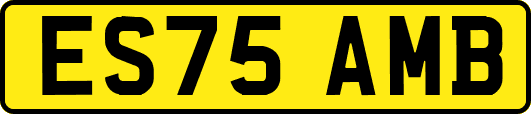 ES75AMB