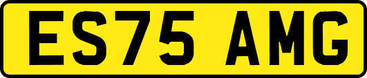 ES75AMG