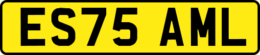 ES75AML