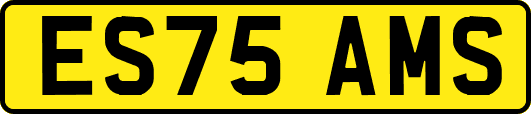 ES75AMS