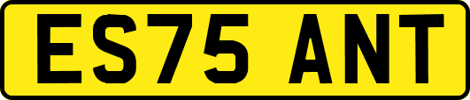 ES75ANT
